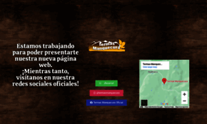 Termasmanquecura.cl thumbnail