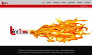 Termimex.com.mx thumbnail