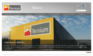 Ternium.cn thumbnail