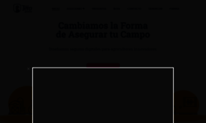Terogranizo.com.ar thumbnail