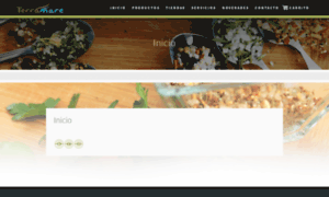 Terramare-ec.com thumbnail