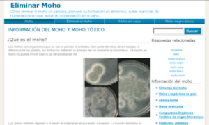 Test.eliminarmoho.org thumbnail