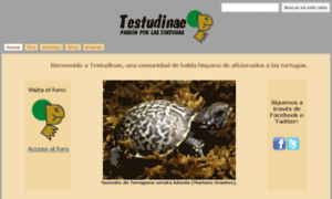 Testudinae.com thumbnail