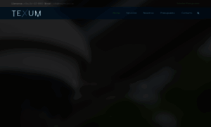 Texum.com.ar thumbnail