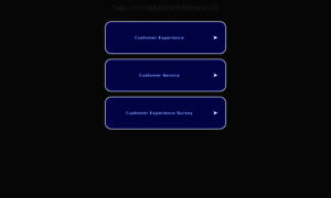 Thecustomerexperience.es thumbnail