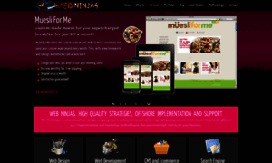 Thewebninjas.com thumbnail