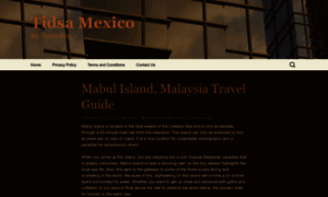 Tidsamexico.com thumbnail
