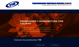 Timmexico.com.mx thumbnail