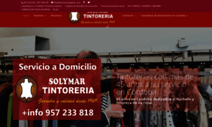 Tintoreriasolymar.com thumbnail