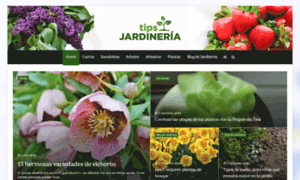 Tipsjardineria.com thumbnail