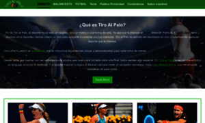 Tiroalpaloweb.es thumbnail