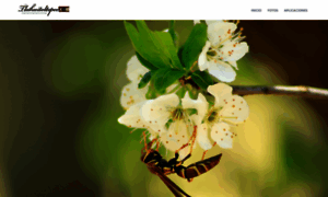 Tlahuitoltepec.com thumbnail