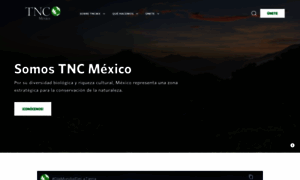 Tncmx.org thumbnail
