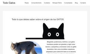 Todogatos.org thumbnail