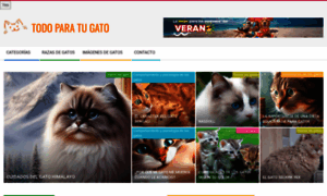 Todoparatugato.es thumbnail