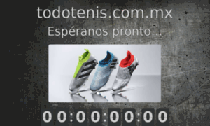 Todotenis.com.mx thumbnail