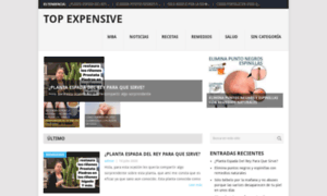 Topexpensive.website thumbnail
