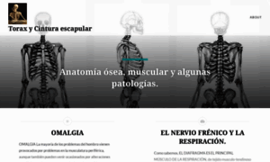 Toraxycinturaescapular.wordpress.com thumbnail