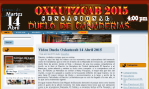 Torneodelazo.com thumbnail