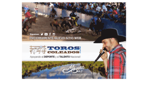 Toroscoleados.com thumbnail
