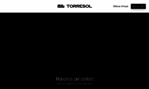 Torresolpiel.com thumbnail