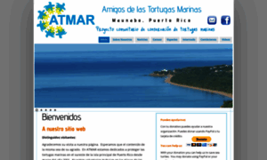 Tortugasmaunabo.com thumbnail