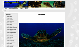 Tortugaswiki.com thumbnail