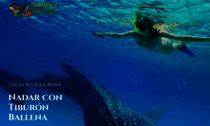 Tourslarivieramaya.com thumbnail