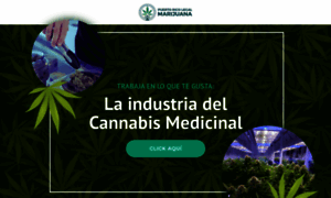 Trabajaconcannabis.com thumbnail