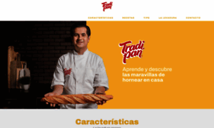 Tradipan.com.mx thumbnail