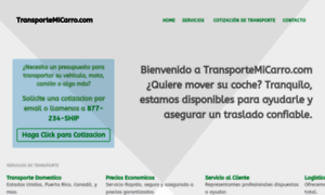 Transportemicarro.com thumbnail