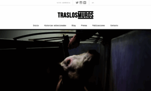 Traslosmuros.com thumbnail