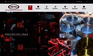 Trevisa.com.mx thumbnail