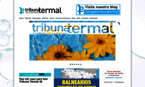 Tribunatermal.com thumbnail