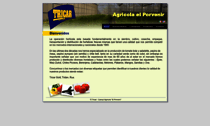 Tricar.com.mx thumbnail