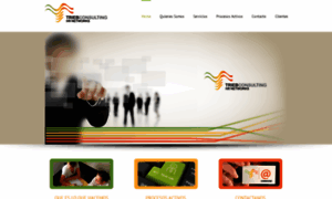 Triebconsulting.net thumbnail