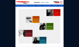 Trigonahosting.com thumbnail