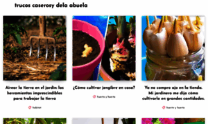 Trucoscaserosydelaabuela.com thumbnail