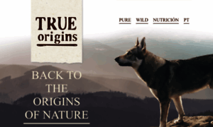 Trueorigins.com thumbnail