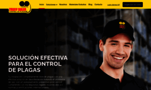 Trulynolen.com.py thumbnail