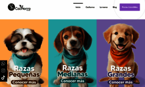 Tucachorrotienda.com thumbnail