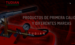 Tudian.com.ar thumbnail