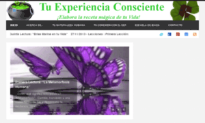 Tuexperienciaconsciente.com thumbnail