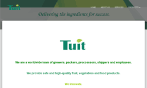 Tuit.com.mx thumbnail