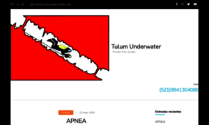 Tulumunderwater.com thumbnail