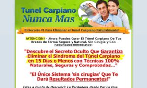 Tunelcarpianonuncamas.com thumbnail