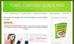 Tunelcarpianonuncamas.org thumbnail