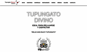 Tupungatodivino.com.ar thumbnail