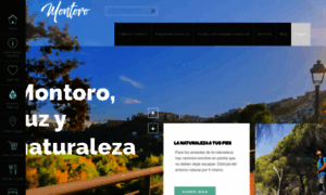 Turismomontoro.es thumbnail
