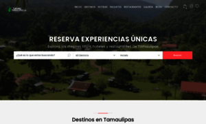 Turismotamaulipas.com thumbnail